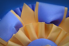 American Acetate Ribbon Image