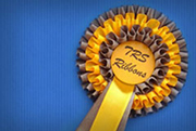 Pleated Ribbons Image