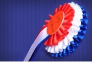 Conical Rosettes Image